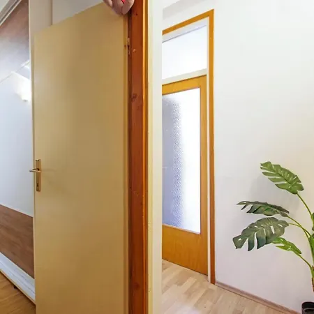 Holiday House Апартаменты *